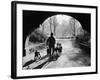 Dog Walker in Central Park-Alfred Eisenstaedt-Framed Photographic Print