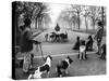 Dog Walkers in Central Park-Alfred Eisenstaedt-Stretched Canvas