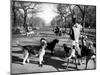 Dog Walkers in Central Park-Alfred Eisenstaedt-Mounted Photographic Print