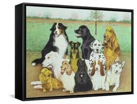 Dog Watch-Pat Scott-Framed Stretched Canvas