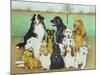 Dog Watch-Pat Scott-Mounted Giclee Print