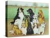 Dog Watch-Pat Scott-Stretched Canvas