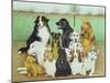 Dog Watch-Pat Scott-Mounted Giclee Print