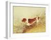 Dog Watching a Rat in the Water at Dedham-John Constable-Framed Giclee Print