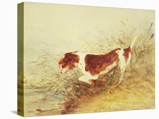 Dog Watching a Rat in the Water at Dedham-John Constable-Stretched Canvas