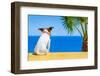 Dog Watching-Javier Brosch-Framed Photographic Print