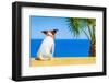 Dog Watching-Javier Brosch-Framed Photographic Print