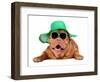 Dog Wearing Green Straw Hat And Sun Glasses, Isolated-vitalytitov-Framed Photographic Print