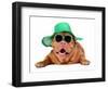 Dog Wearing Green Straw Hat And Sun Glasses, Isolated-vitalytitov-Framed Photographic Print