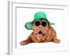 Dog Wearing Green Straw Hat And Sun Glasses, Isolated-vitalytitov-Framed Photographic Print