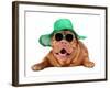 Dog Wearing Green Straw Hat And Sun Glasses, Isolated-vitalytitov-Framed Photographic Print