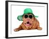 Dog Wearing Green Straw Hat And Sun Glasses, Isolated-vitalytitov-Framed Photographic Print