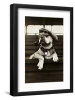Dog Wearing Hat and Goggles-null-Framed Photographic Print