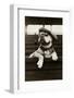 Dog Wearing Hat and Goggles-null-Framed Photographic Print