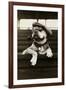 Dog Wearing Hat and Goggles-null-Framed Photographic Print