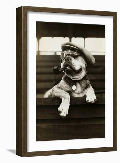 Dog Wearing Hat and Goggles-null-Framed Photographic Print