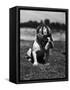 Dog Wearing Helmet on Football Field-Bettmann-Framed Stretched Canvas