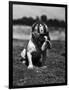 Dog Wearing Helmet on Football Field-Bettmann-Framed Photographic Print