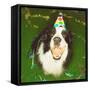 Dog Wearing Party Hat-Leland Bobbé-Framed Stretched Canvas