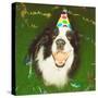 Dog Wearing Party Hat-Leland Bobbé-Stretched Canvas
