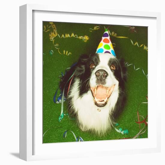 Dog Wearing Party Hat-Leland Bobbé-Framed Photographic Print