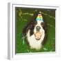 Dog Wearing Party Hat-Leland Bobbé-Framed Photographic Print