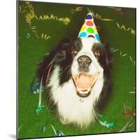 Dog Wearing Party Hat-Leland Bobbé-Mounted Photographic Print