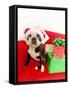 Dog wearing Santa Claus hat next to gifts-null-Framed Stretched Canvas