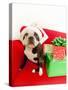 Dog wearing Santa Claus hat next to gifts-null-Stretched Canvas