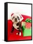 Dog wearing Santa Claus hat next to gifts-null-Framed Stretched Canvas