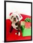 Dog wearing Santa Claus hat next to gifts-null-Framed Photographic Print