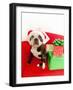 Dog wearing Santa Claus hat next to gifts-null-Framed Photographic Print