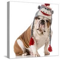 Dog Wearing Winter Hat-Willee Cole-Stretched Canvas