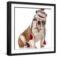 Dog Wearing Winter Hat-Willee Cole-Framed Photographic Print