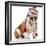 Dog Wearing Winter Hat-Willee Cole-Framed Photographic Print