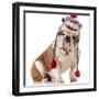 Dog Wearing Winter Hat-Willee Cole-Framed Photographic Print