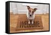 Dog Welcome Home-Javier Brosch-Framed Stretched Canvas