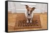 Dog Welcome Home-Javier Brosch-Framed Stretched Canvas