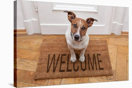 Dog Welcome Home-Javier Brosch-Stretched Canvas