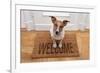 Dog Welcome Home-Javier Brosch-Framed Photographic Print