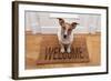 Dog Welcome Home-Javier Brosch-Framed Photographic Print