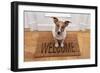 Dog Welcome Home-Javier Brosch-Framed Photographic Print