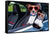 Dog Window Car-Javier Brosch-Framed Stretched Canvas