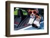 Dog Window Car-Javier Brosch-Framed Photographic Print