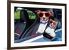 Dog Window Car-Javier Brosch-Framed Photographic Print