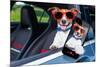 Dog Window Car-Javier Brosch-Mounted Photographic Print