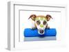 Dog With A Beauty Mask-Javier Brosch-Framed Photographic Print