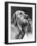 Dog with a Bird-null-Framed Photographic Print