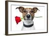 Dog with a Red Rose-Javier Brosch-Framed Photographic Print