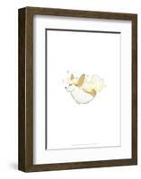 Dog with blonde hair - Hannah Stephey Cartoon Dog Print-Hannah Stephey-Framed Giclee Print